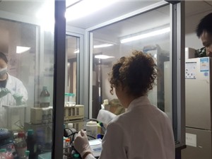 Những động lực đang định hình lại giáo dục đại học toàn cầu